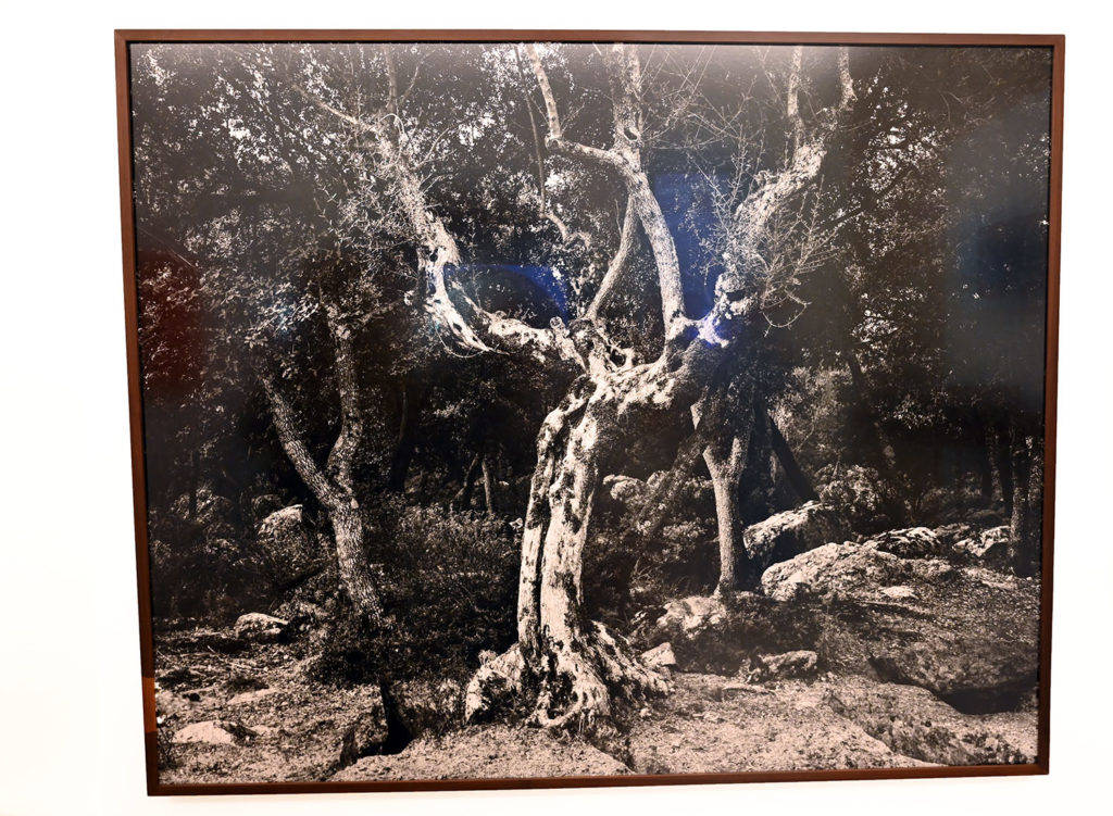 radart saint paul de vence
