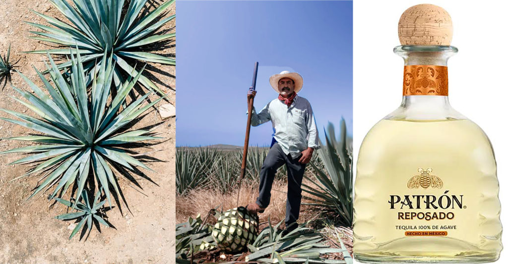 patrón tequila paco méndez saint tropez