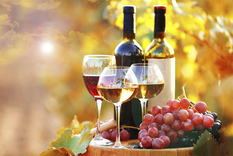 autour du vin 2026