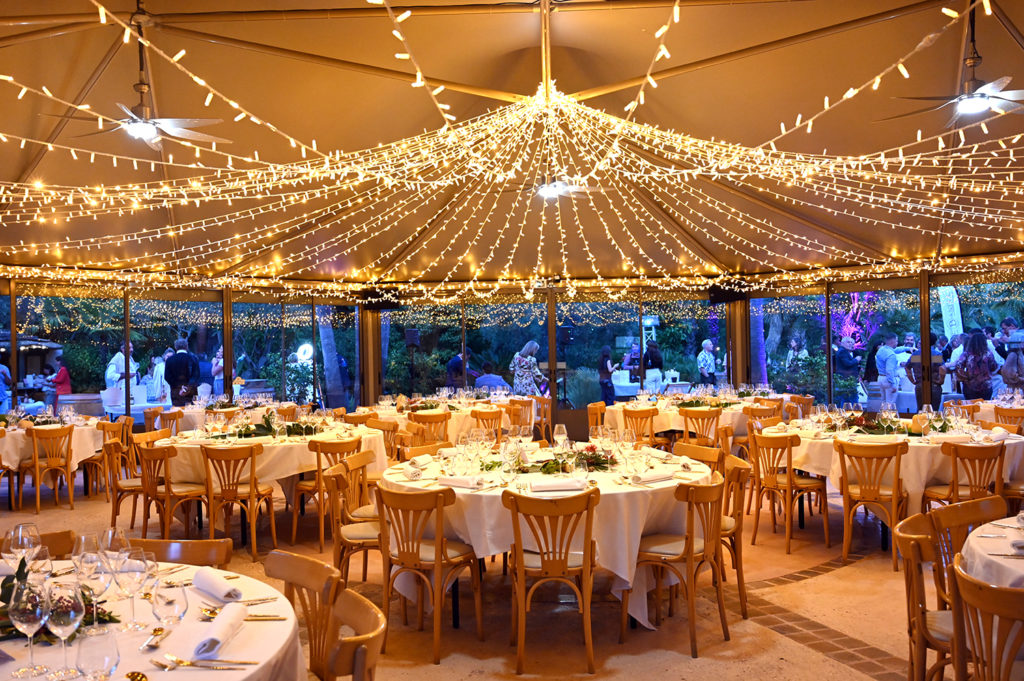 banquet tropicana flore vignobles scène
