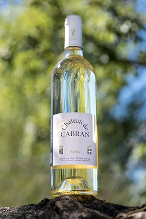 banquet tropicana flore vignobles scène