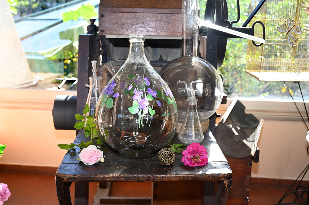 dame jeanne grasse parfum